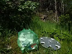 Resultaat van 1 uur plogging in Sävedalen, 29 mei 2020.