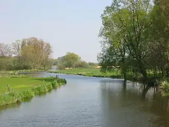 Graslanden langs de rivier