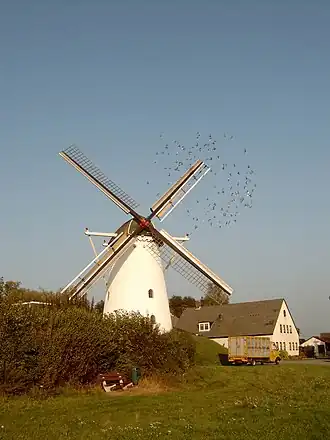 De Korenbloem bij Loil