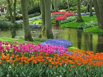 Keukenhof
