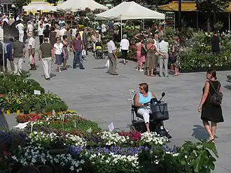 Zondagse bloemenmarkt op de Kouter