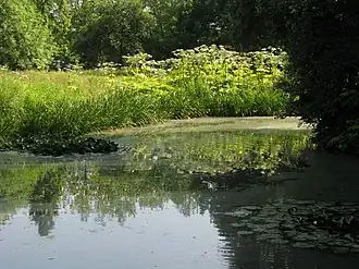 De Brielmeersen, juni 2009