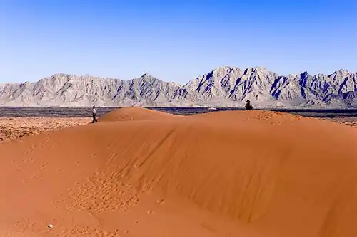 Zandduinen in El Pinacate y Gran Desierto de Altar Biosphere Reserve in het noordwesten van de staat Sonora (Mexico)
