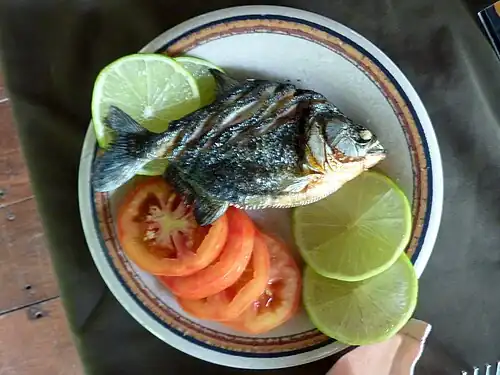 Licht gegrilde piranha in Peru