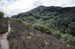 De 3000 miljoen jaar oude vallei met de rivier die door het dal vloeit