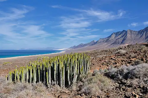 Zuidwestkust van Fuerteventura.