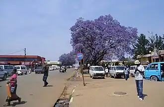 Centrum van Nhlangano