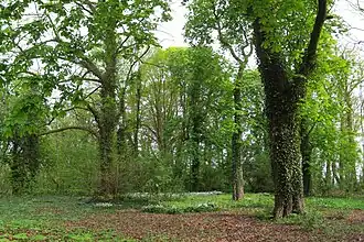 De tuin van Villa Gelria in 2012