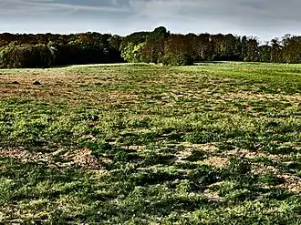 Plateau van Caestert