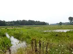 Boven-Regge ten zuidwesten van Diepenheim