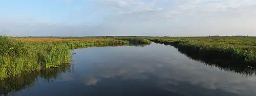 Westerbroekstermadepolder