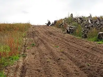 Bij de inrichting van het ecoduct zijn voor beschutting veel boomstronken neergelegd