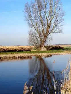 Roomsloot (even ten zuiden van Nederland)