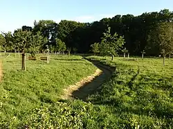 Nieuwe aanplant, 2014