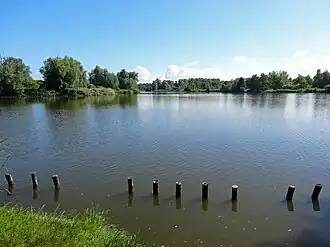 Zuigerplas in het Zuigerplasbos van Lelystad (zuidelijke oever)