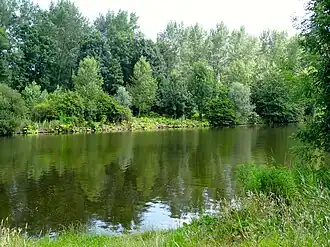 Het Gelderse Diep met aan de overzijde het Gelderse Hout