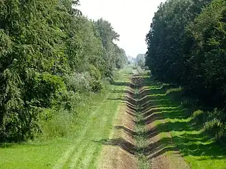 Het Hollandse Hout gezien vanaf de Knardijk
