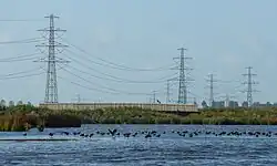 Hoogspanningsleiding door De Onlanden (2014)