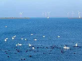 IJmeer met links "De Drost" en rechts "Warenar"