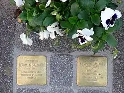 Stolpersteine voor de familie Salomon in Stadskanaal, 6 november 2014