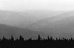 Foto waarbij het korreleffect door de fotograaf gewenst werd.