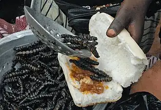 Sandwich met gefrituurde rupsen van de vlinder Cirina butyrospermi (Boromo, Burkina Faso september 2015)