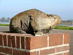 Beeld van de laatste bever van Nederland (H. Schaeffer)