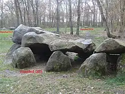 Op de achtergrond D23 en D24, op de voorgrond D25