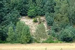 De helling van de zandafgraving