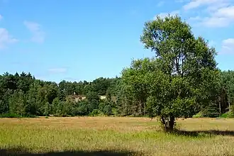 terrein van de voormalige zandafgraving in 't Sol anno 2016