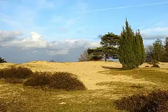 Het Drouwenerzand anno 2017