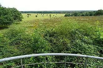 Uitzicht vanaf de Valenberg