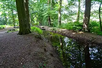 De Molenbeek ten noorden van Renkum