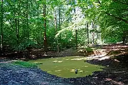 Langs de Buiten Allee in het Hof te Dieren