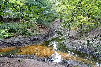 de "Sprenger Beek" nabij de Vrijenberg