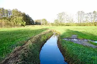 Het Zeegserloopje tussen Tynaarlo en Schipborg (anno 2017)