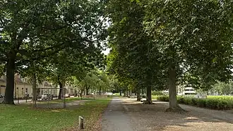 Laan aan zijkant van Kromhoutpark (zijde Ruysdaelstraat)