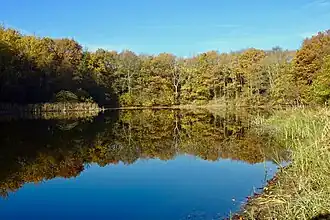 Het Zwanemeer gezien vanaf de oostkant anno 2018