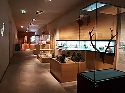 Afdeling prehistorie