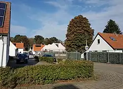 "Witte huisjes" Trichterveld
