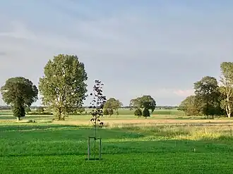 Zicht vanaf de Hondsrug in noordoostelijke richting in Bonnen