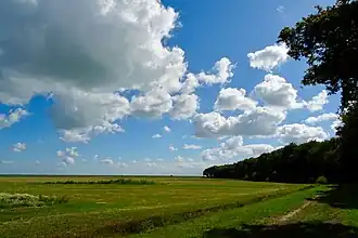 De Séfonsterpolder met rechts het Rijsterbos