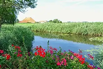 De Djippert bij Ferwoude (anno 2019)