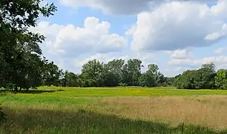 Een blik over het Corlese Veen