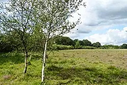 Beekdal Elperstroom bij het Heerenveldje