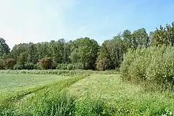 Zuidelijke rand van het Flietsterbosk