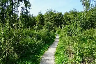 Het Flietsterbosk (2019)