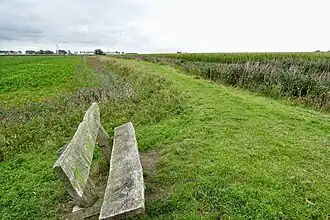 Pingjumer Gulden Halsband tussen Witmarsum en Arum (anno 2019)