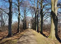 Lanenstructuur bij Vaeshartelt