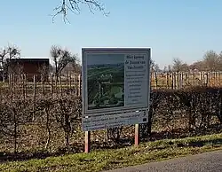 Nieuwe aanplant, 2019